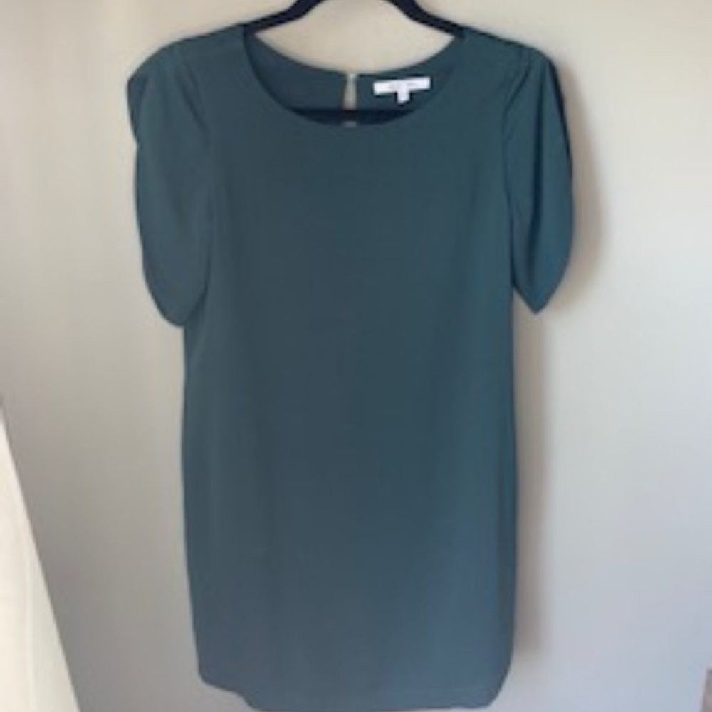 Asos Shift dress - Petal Sleeve - XS